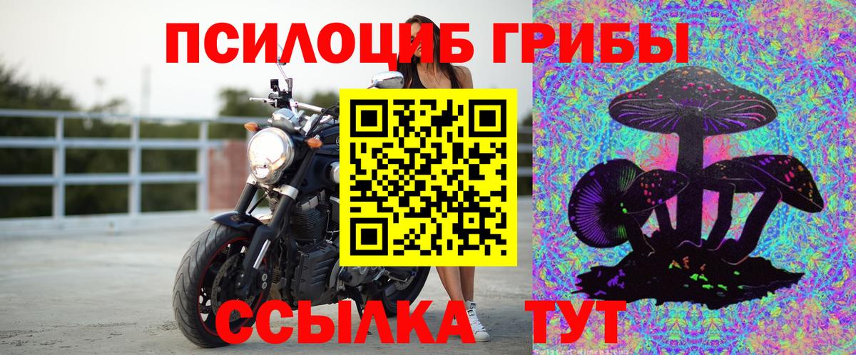 Псилоцибиновые грибы ЛСД Алексин